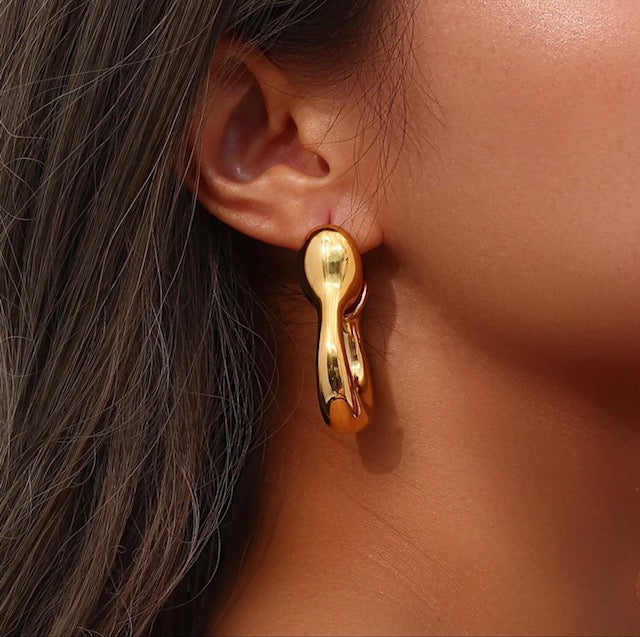 Trendy special shape stainless steel earrings